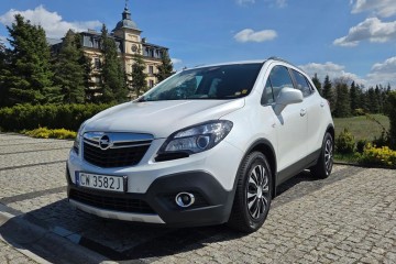 Cosmo*Kamera*Czujniki*126 tys wpisuje na fakturze*Org.lakier*1właścic.