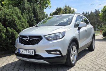 1.6 benzyna*Czujniki*96 tys wpisuje na fakturze*Org.lakier*1właściciel