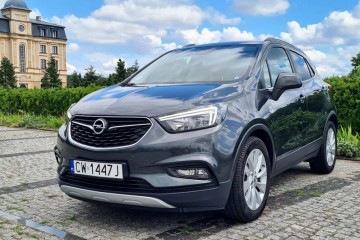 Serwis Opla*Parktronic*39 tys wpisuje na fakturze*Org.lakier*1właścic.