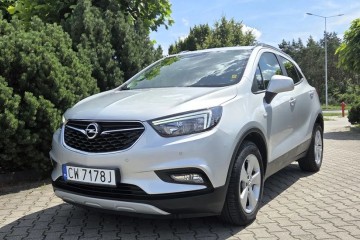 1.6 benzyna*Czujniki*96 tys wpisuje na fakturze*Org.lakier*1właściciel